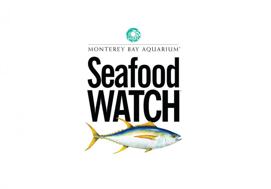 Our Commitment To Healthy Ocean Wildlife & The Environment